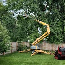 Best Tree Preservation Services  in Uvalde, TX